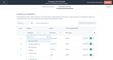 netsuite-husbspot-mapeamento-campos-personalizados